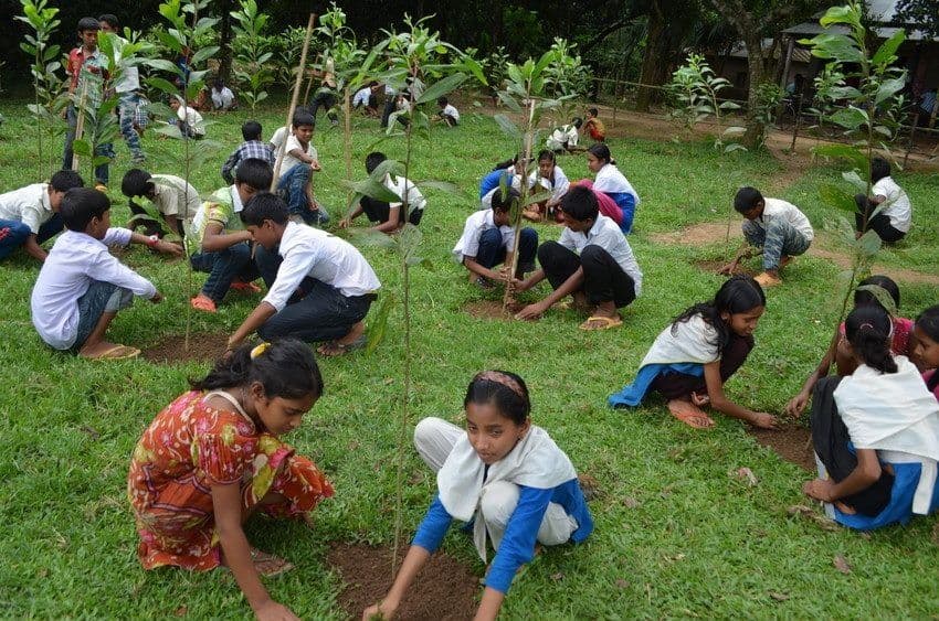 Environmental Sustainability